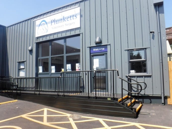 ramps for dogs and all